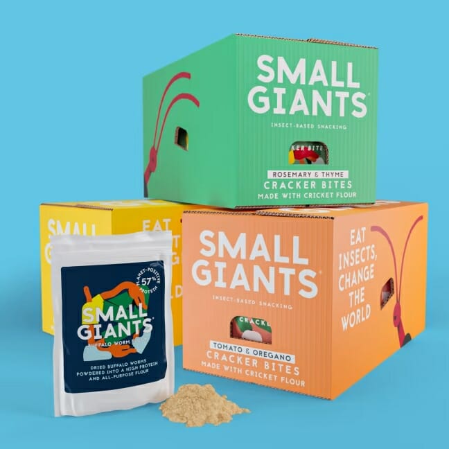 small-giants_00001 small-giants_00001