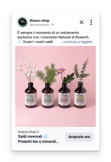 bioeco_img_00001